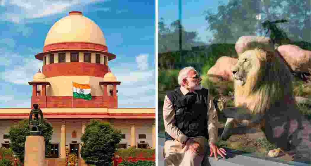 (L) Supreme Court; Prime Minister Narendra Modi during his visit to Vantara earlier this year. (File photos)