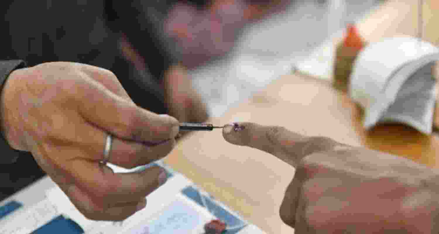 A representative image.