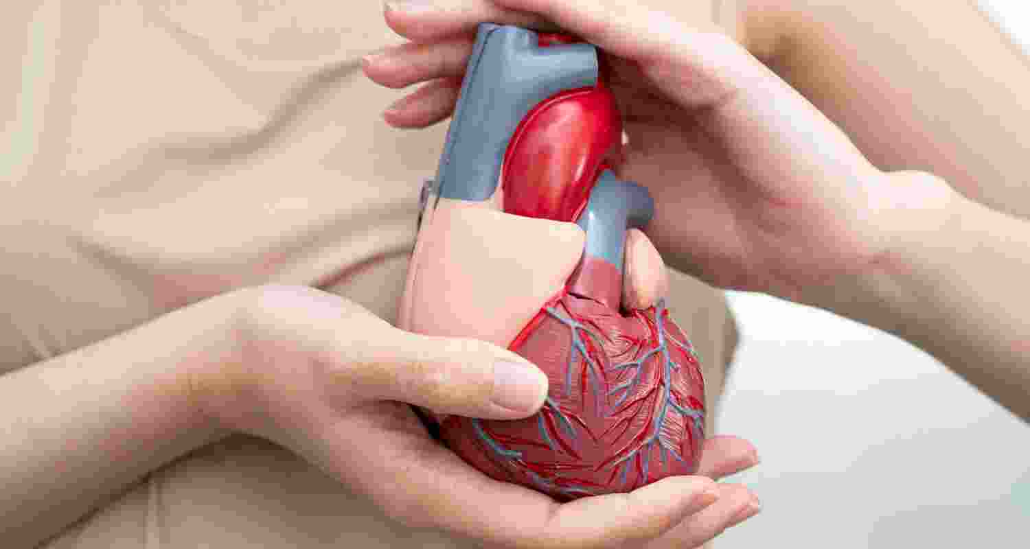 Researchers develop mammogram AI for heart risk prediction