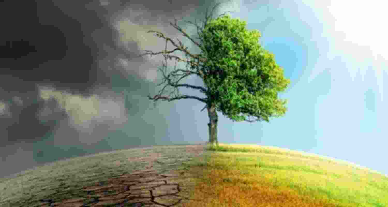 Impact of climate change. Representational Image.