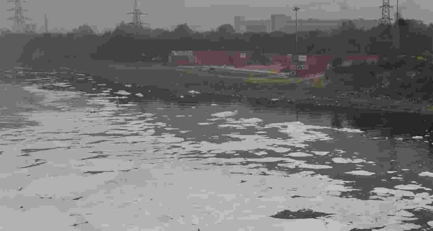 A polluted stretch of Yamuna river.