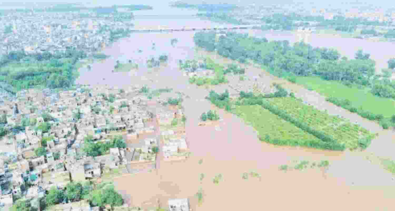 Vast tracts of farmland have been inundated in villages across several districts of Punjab after heavy downpour in the past 24 hours.