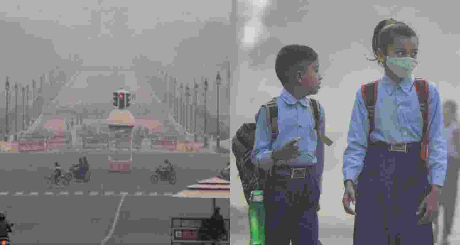 A representative image.