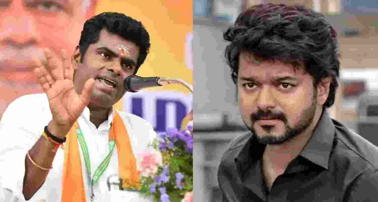 Tamil Nadu BJP leader K Annamalai (left) and actor-politician Vijay.