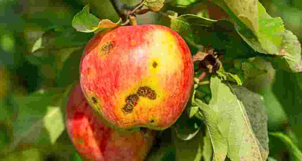 Representative image.