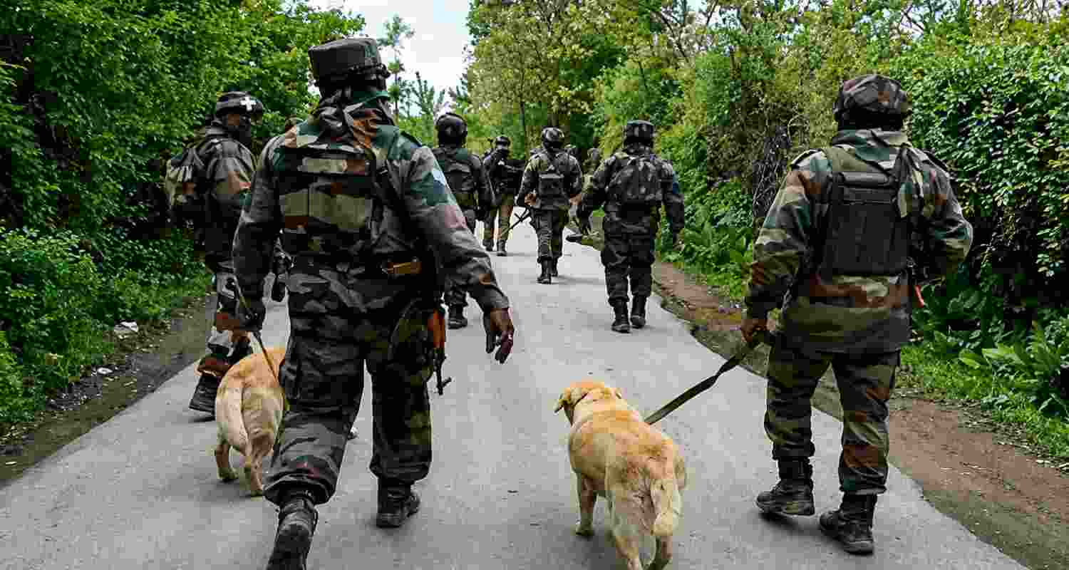 Operation Sheruwali entered its 37th day in Rajouri as security forces continued combing dense forests to track militants hiding in the area.