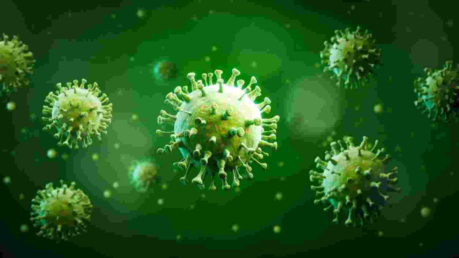 Chandipura virus outbreak in India largest in 20 years: WHO