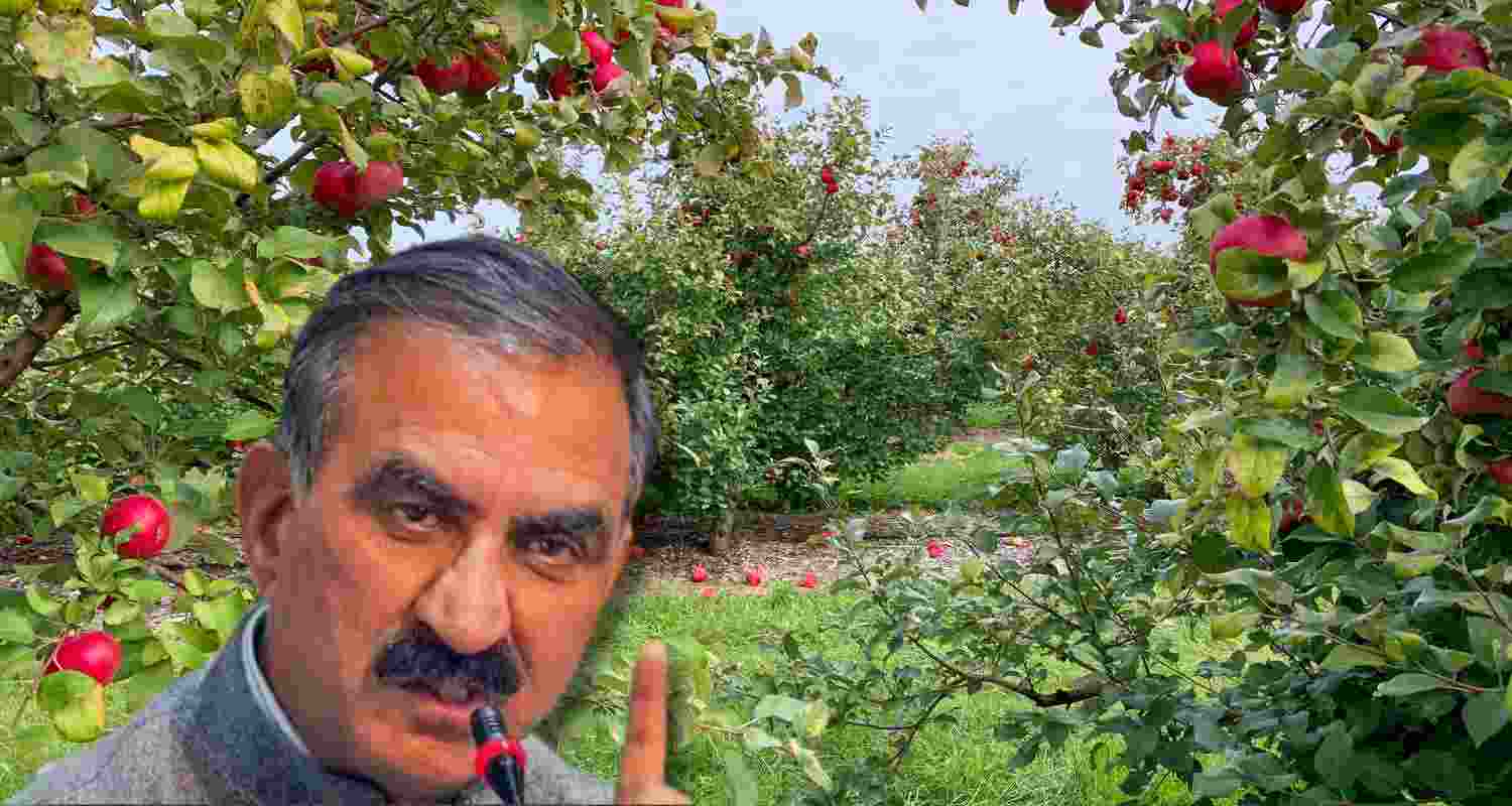 Chief Minister Sukhvinder Singh Sukhu. 