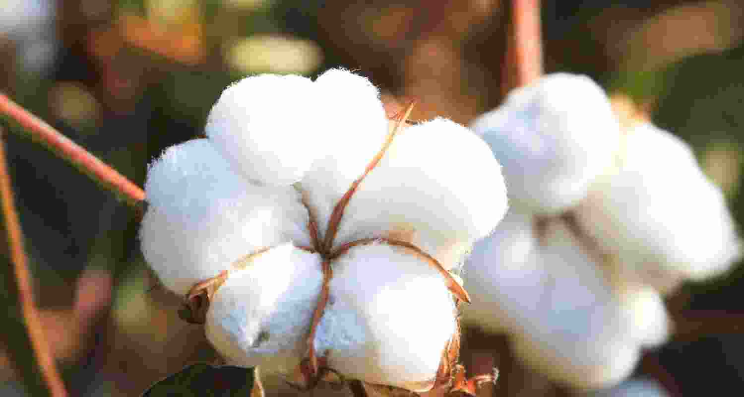 Representational Image.