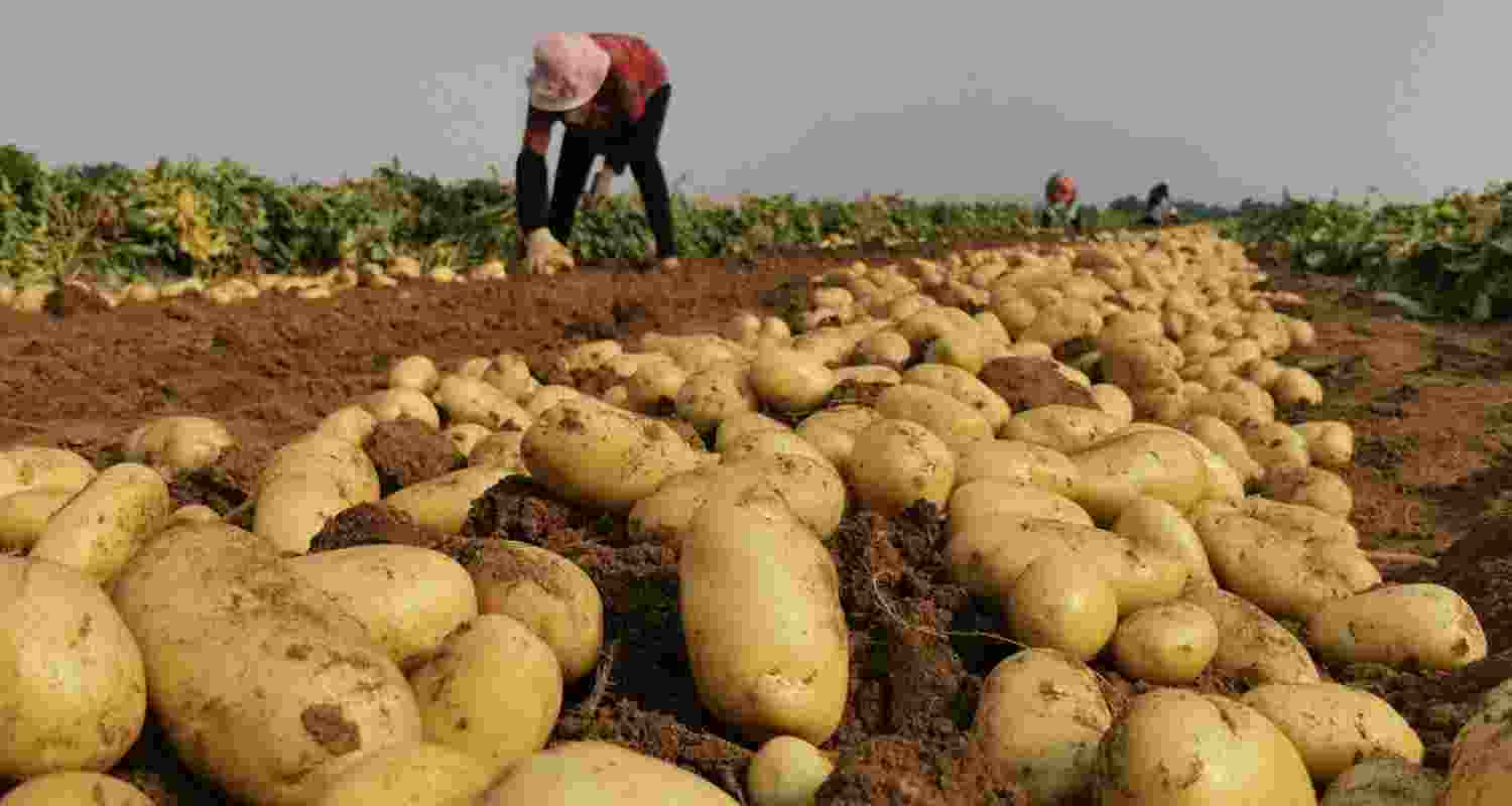 Representational image.