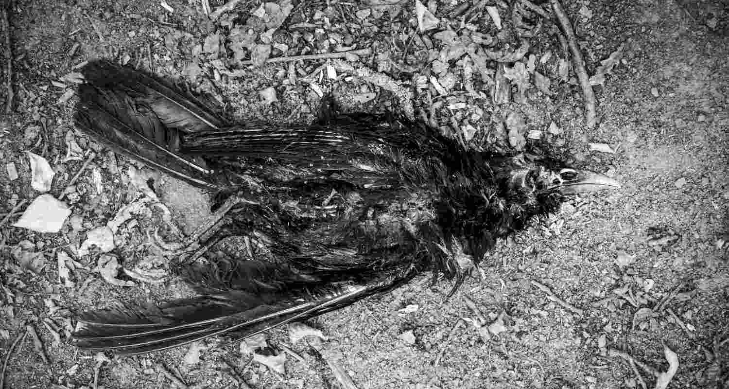 Representative Image. 