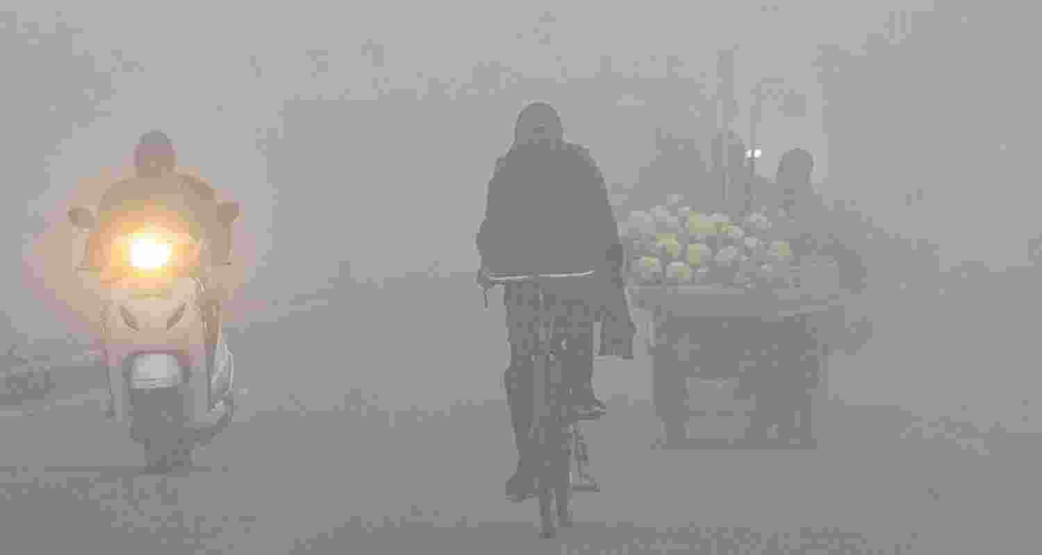 Dense fog in Punjab and Haryana