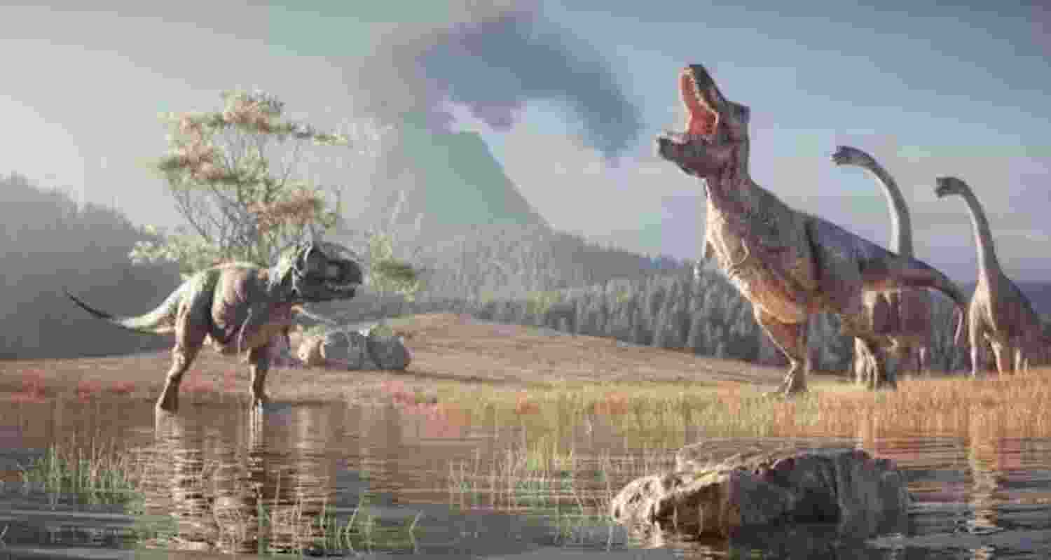 Representational image.