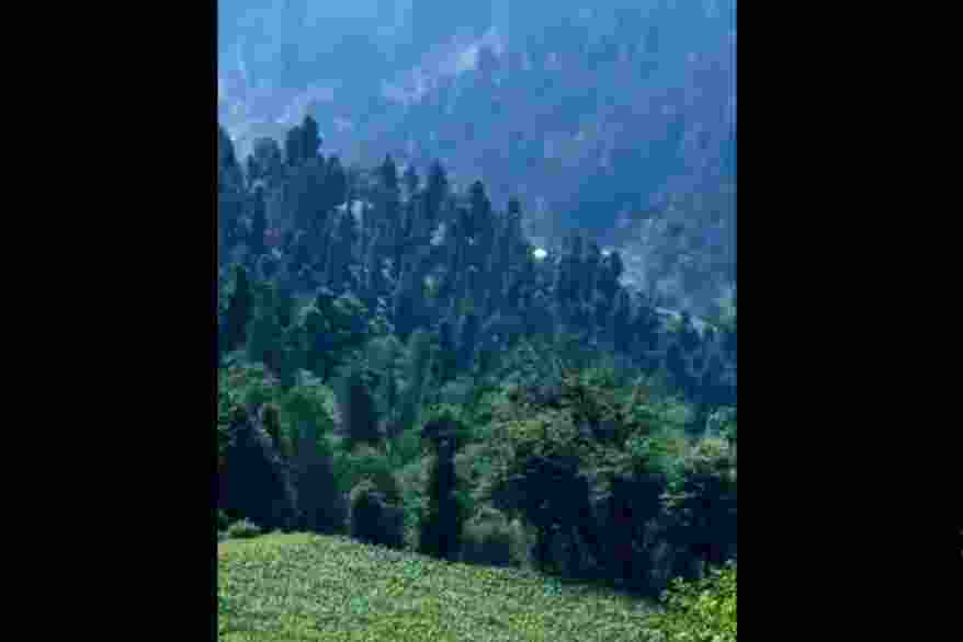 The terrorists opened fire from their mud house hideout when police forces supported by security personnel initiated search operations in the Sinoo panchayat.