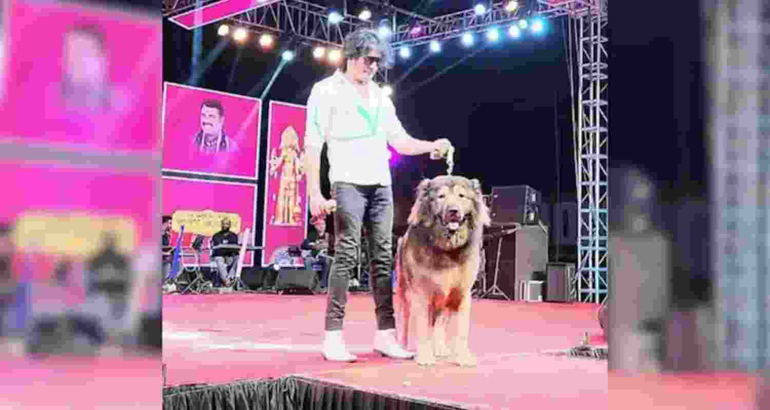Bengaluru man claims to buy Rs 50-cr dog, probe launched