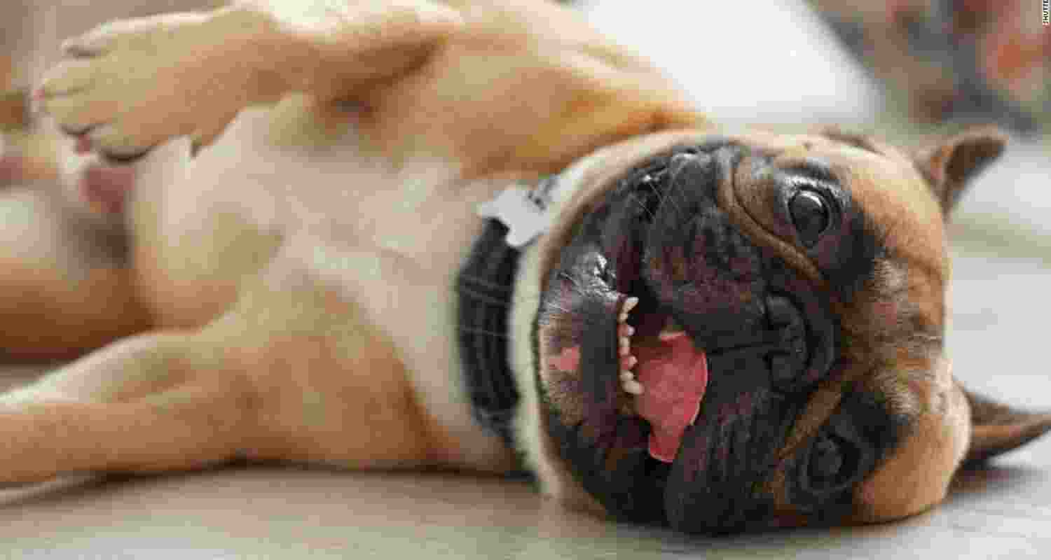 Representational image.