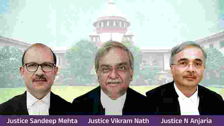SC refers stray dog case to new 3-judge bench, hearing tomorrow