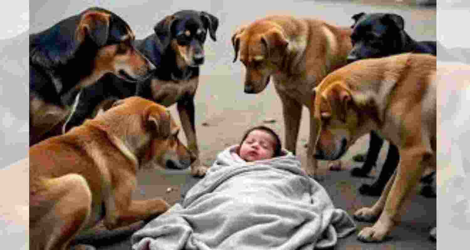 A representative image.