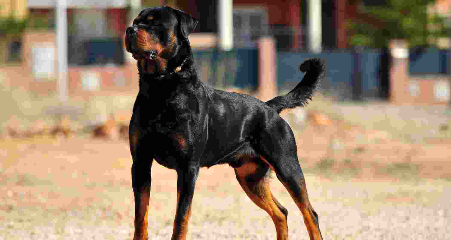 Representative Image. 