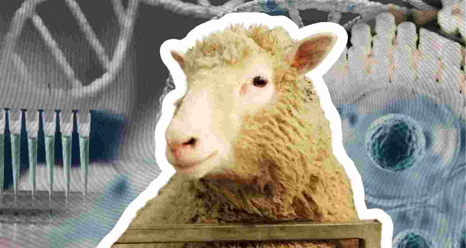 30 years after Dolly: What happened to cloning?