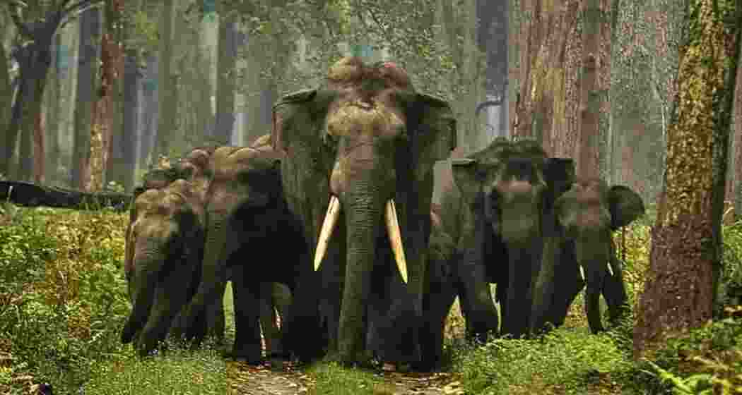 Representative image.