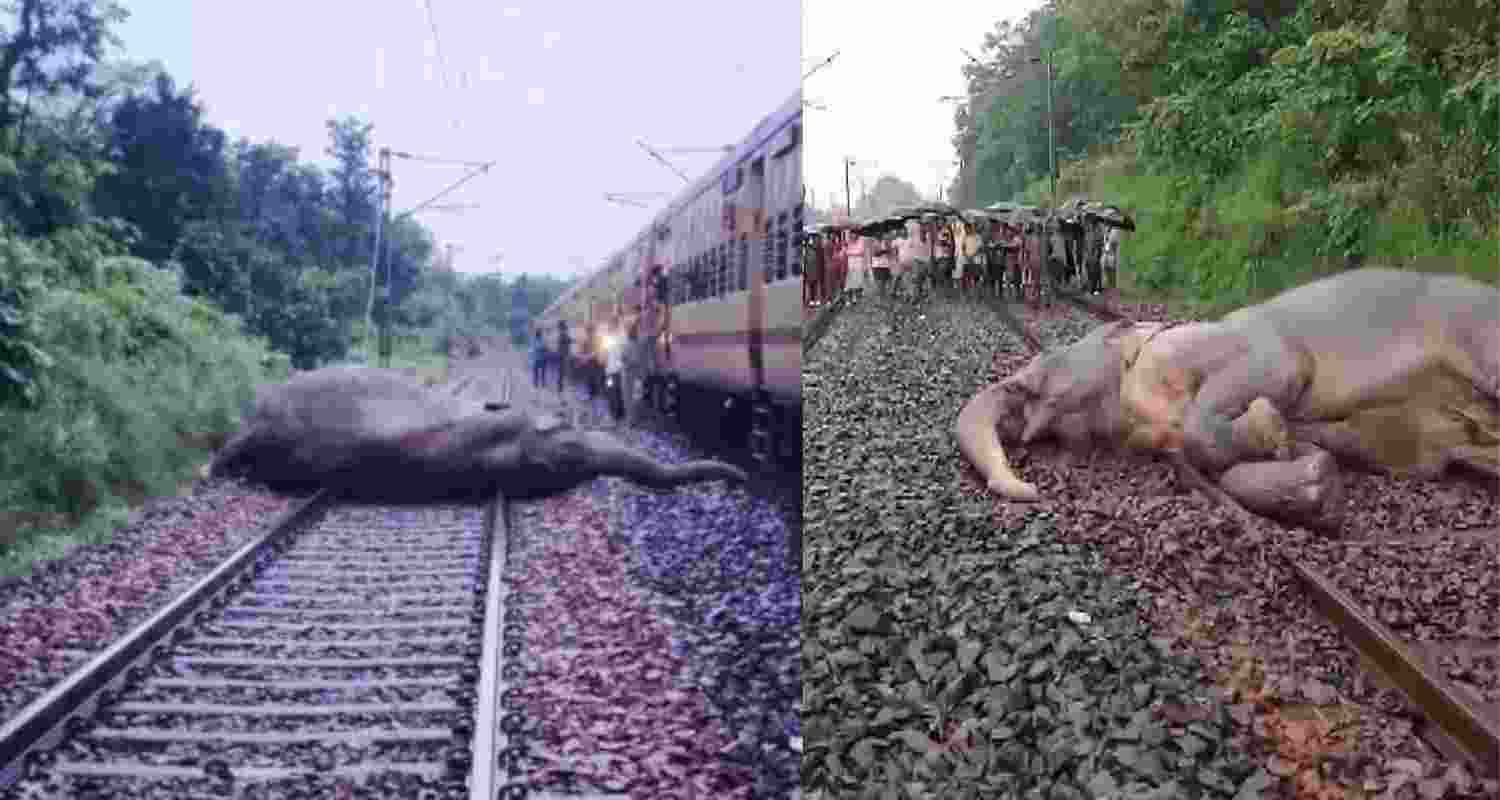 A representative image. A representative image.