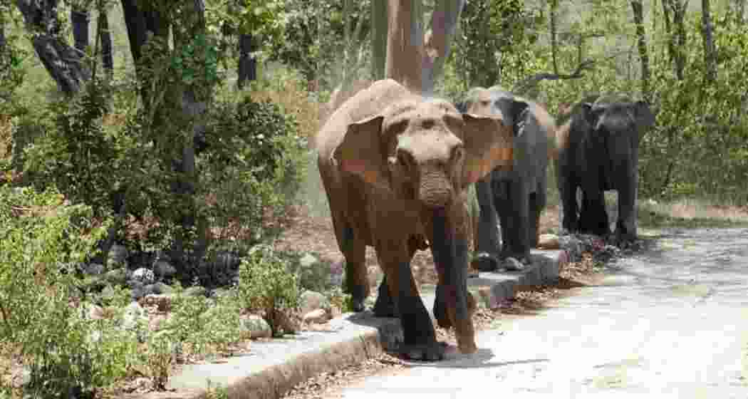 A representative image.