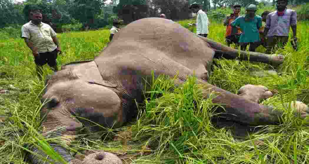 A representative image.