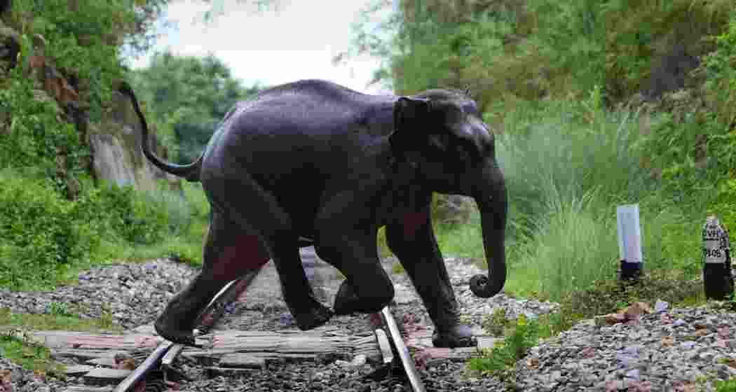 Representational image.