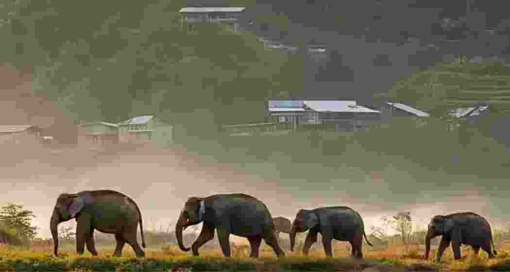 Representational image. 