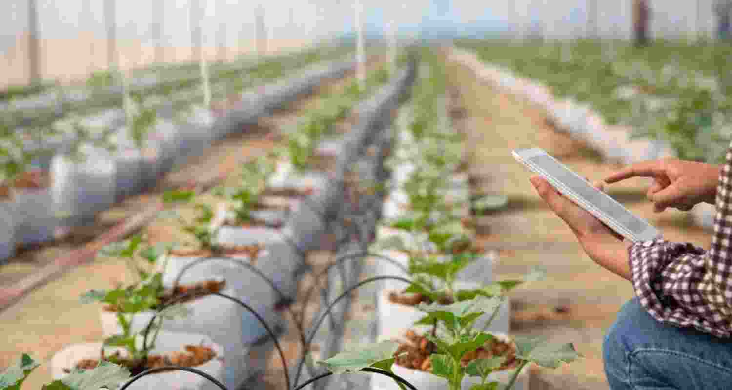 Representational image.