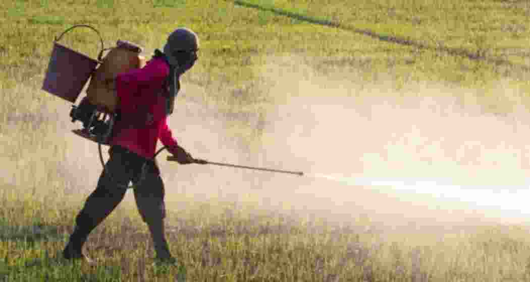 Representational image.