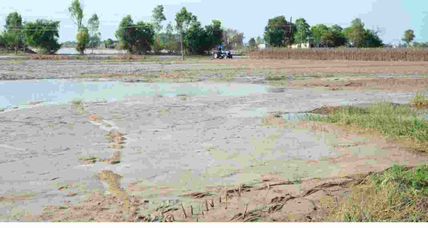 Jamhoori Kisan Sabha leader Ratan Singh Randhawa has demanded a compensation of Rs 45 lakh per acre for farmers whose land has been washed away.