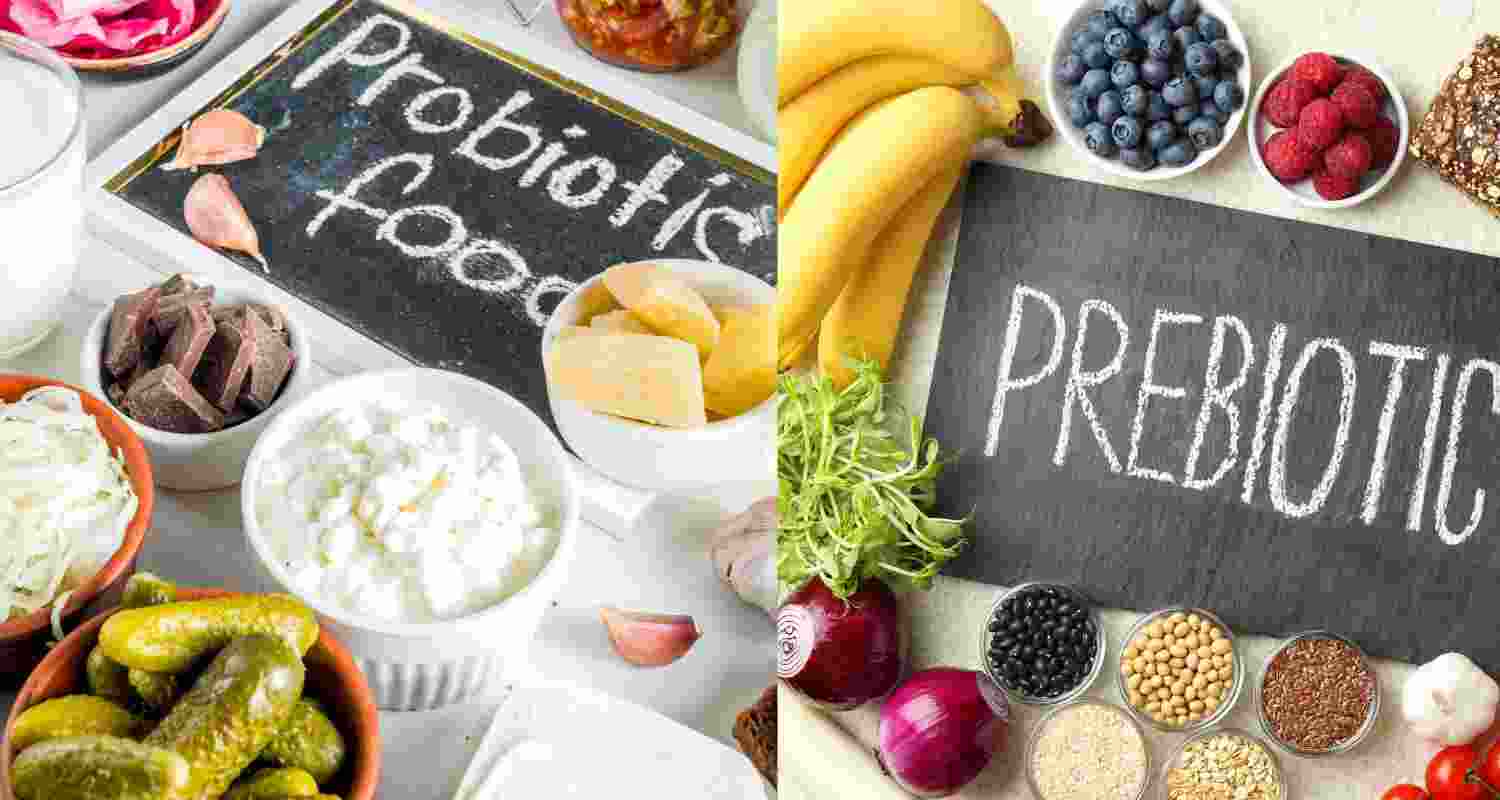 What’s difference between probiotics, prebiotics? Read here