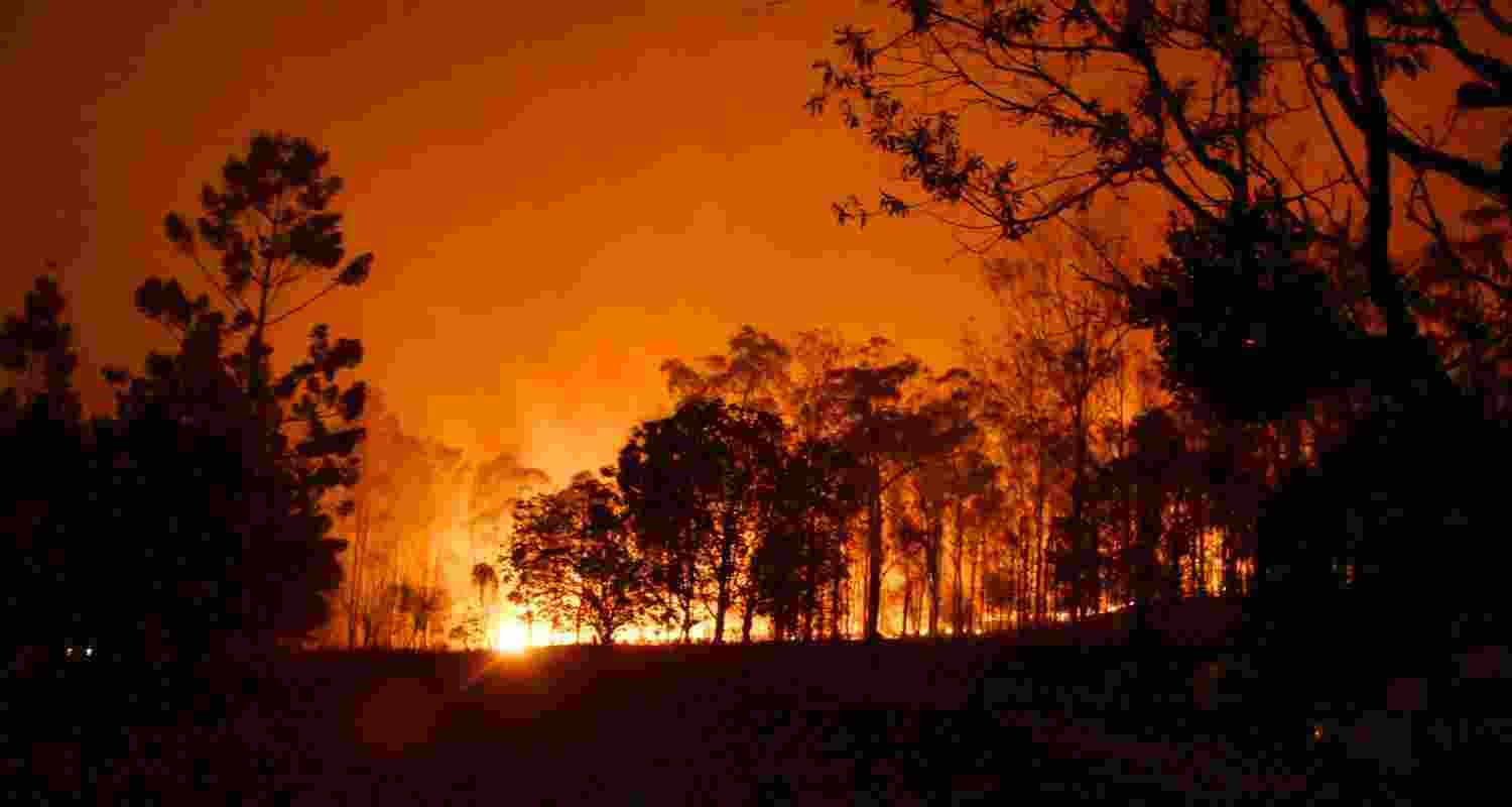 Representative image. 