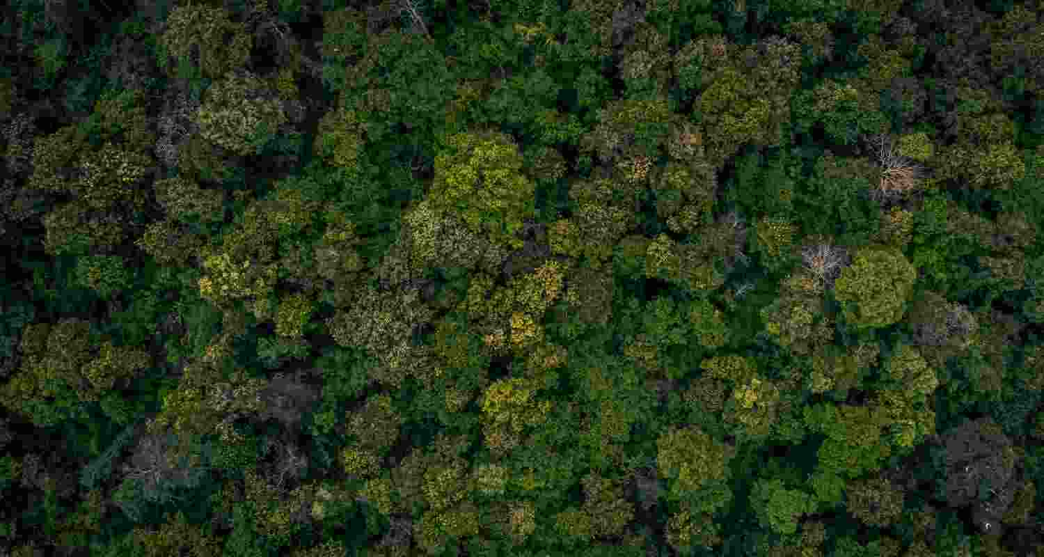 Representative Image. 