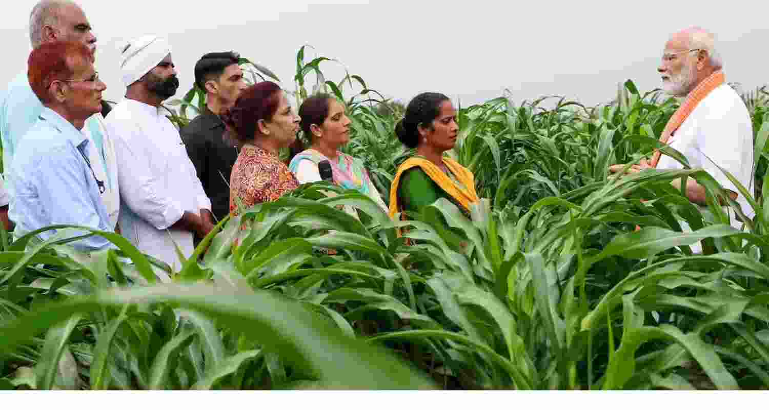 Representational image.