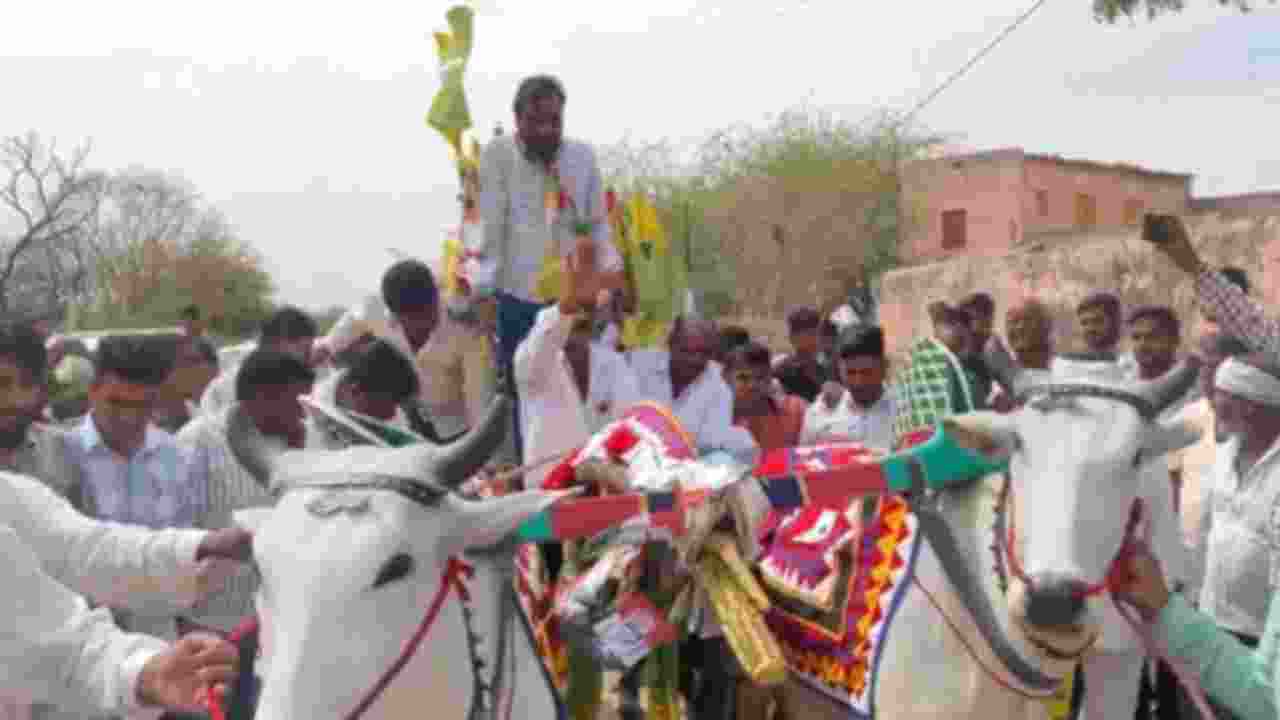 Hanuman Beniwal's bullock cart campaign draws attention in Nagaur polls