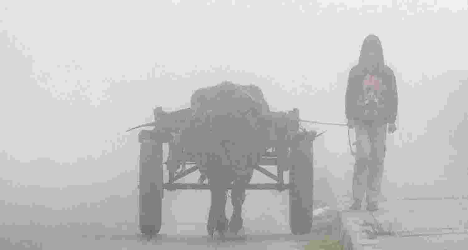 Delhi Environment Minister Manjinder Singh Sirsa on Friday urged residents to continue following pollution-control measures, especially since weather conditions are likely to turn unfavourable with increased chances of dense fog and haze, which exacerbate pollution levels