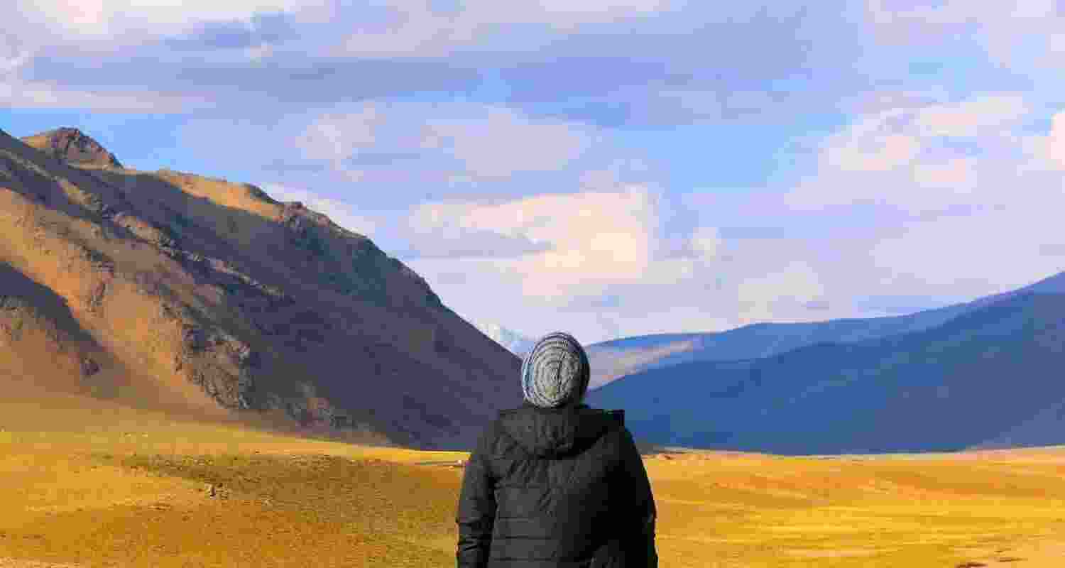 Being more specific in your prompt helps to arrive at a result more aligned with what you envisioned.