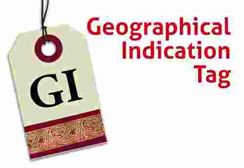 Specialists urge coordinated action to elevate Geographical Indications (GI) products like Kala Namak, rice, and Nagpur oranges to premium status globally, highlighting their vast export potential.