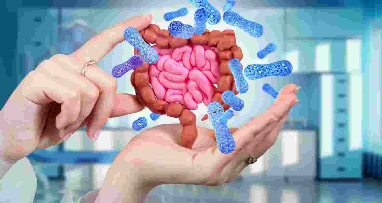 The gut-heart link explained