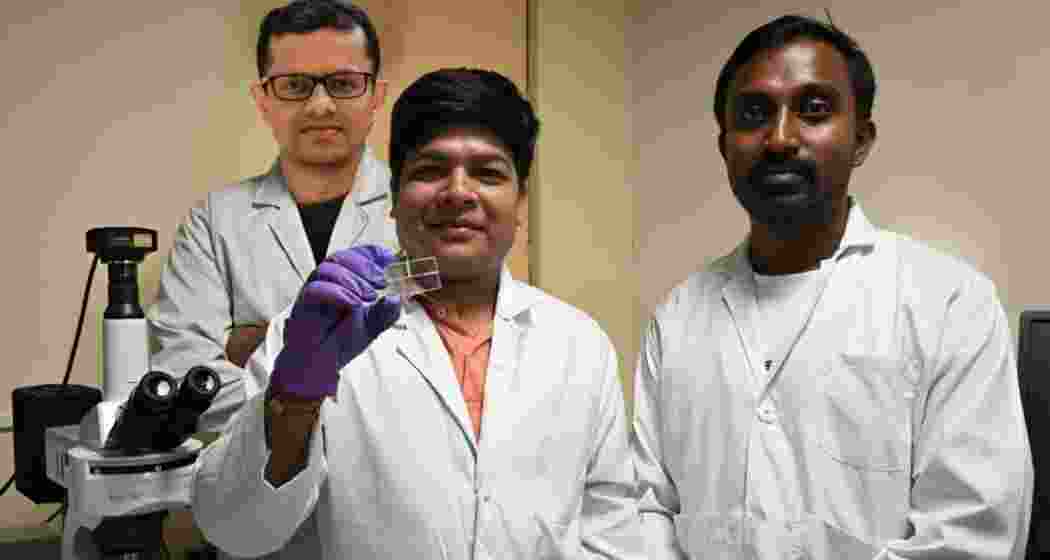 Rearchers at IIT Guwahati demonstrate the innovative microfluidic system designed to enhance root growth and nutrient absorption, paving the way for advancements in soil-less farming.