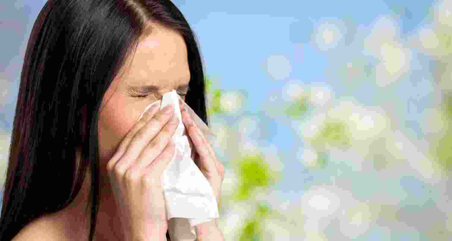 Decoding the link between hay fever, antihistamines and dementia
