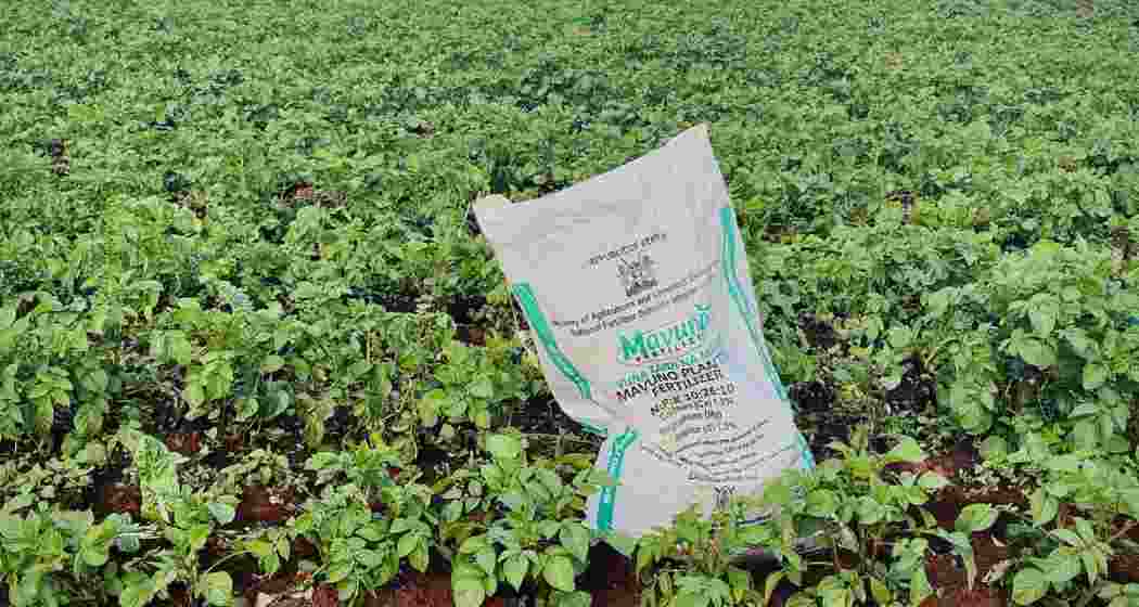 Representational image.