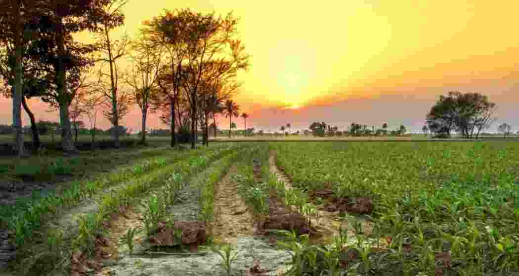 Representational image.