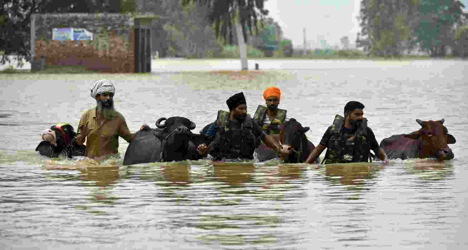 A file photograph of farmers marooned in the devastating floods that hit Punjab during the monsoon.