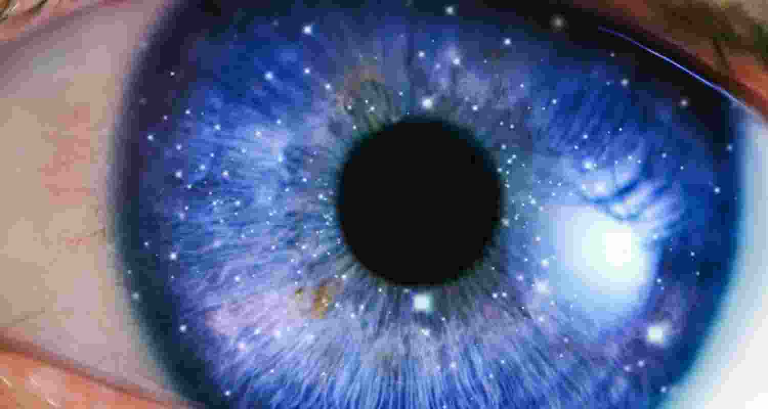 Decoding consciousness through gaps in human vision