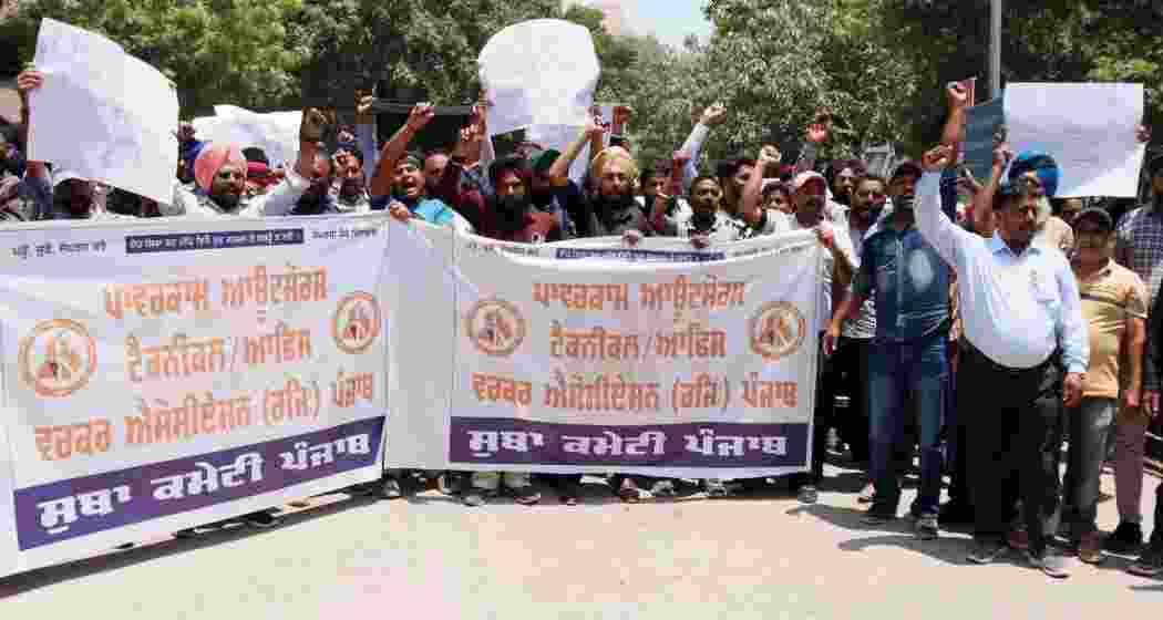 Contractual employees of PSPCL holding a protest in Patiala. (File photo)