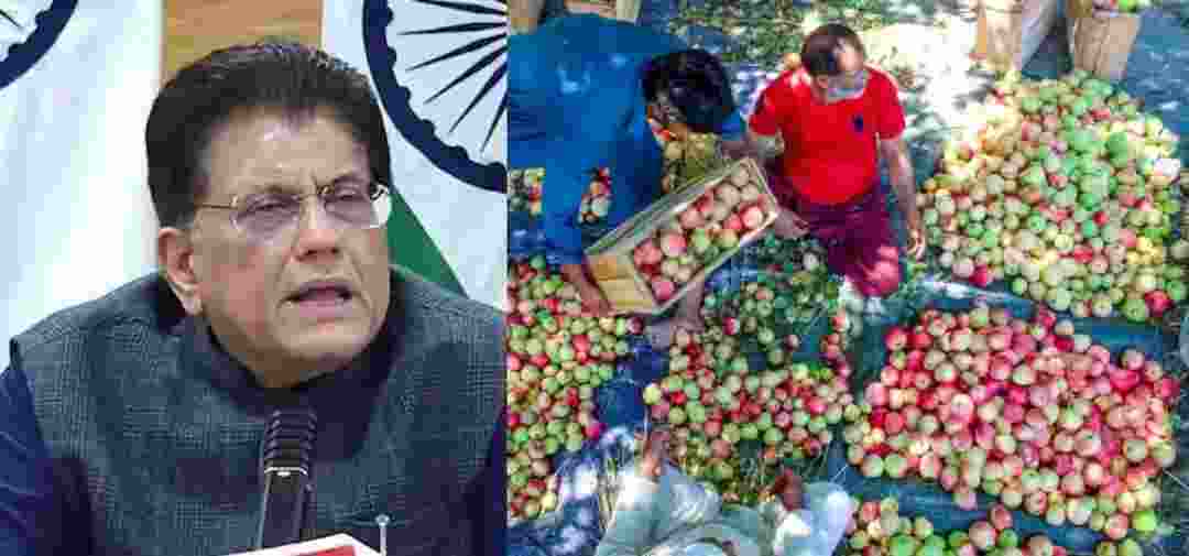 Indo-US trade pact: Apple-growers fear economic loss, says PDP